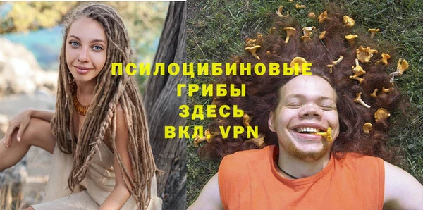твердый Алексин