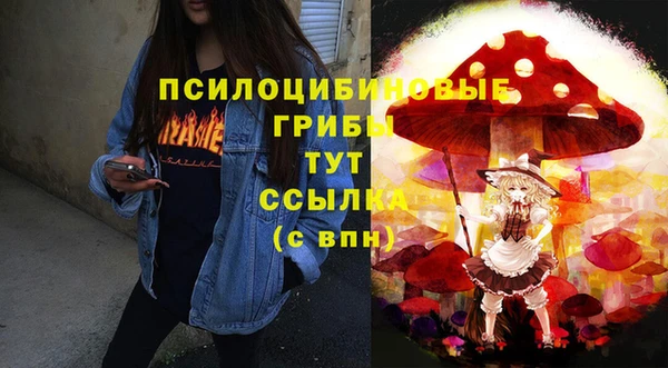 твердый Алексин