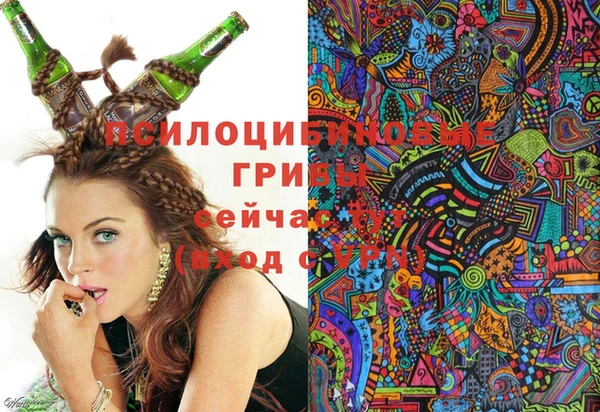 метамфетамин Алексеевка