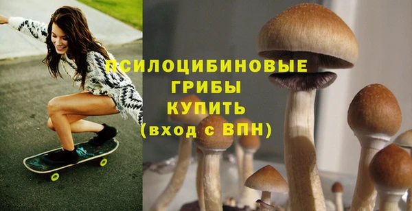 mdpv Алзамай