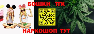 гидра Бердск