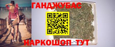 гидра Бердск