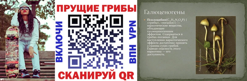 Галлюциногенные грибы GOLDEN TEACHER купить закладку Салават